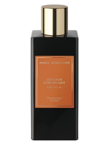 Angel Schlesser Les Eaux D'un Instant Absolu Mysterious Amber EDP 100ml